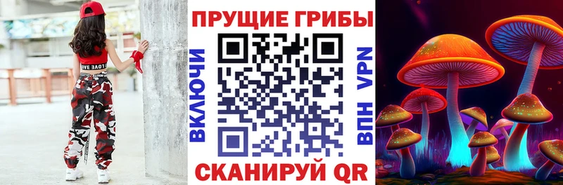 Псилоцибиновые грибы прущие грибы  Купить где  Балахна 